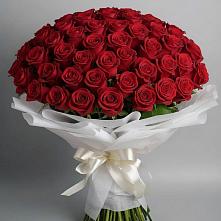 Букет 101 Красная роза Блэк Мэджик в Баксаненке