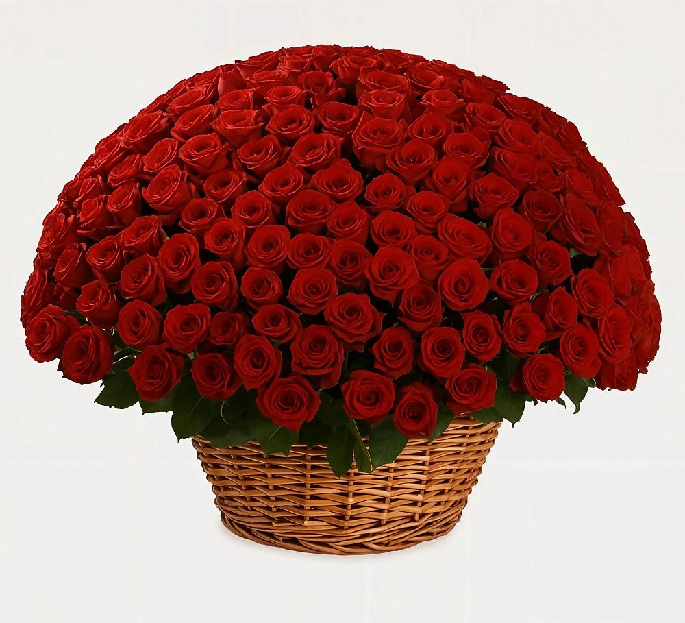 Премиум букет из: Розы в Баксаненке