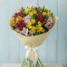 Букет цветов из:  Альстромерии в Баксаненке