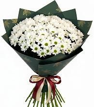 Букет цветов из:  Хризантемы в Баксаненке