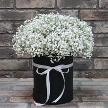 Цветочная композиция из Гипсофила в шляпной коробке #REPLACE_PRED# Баксаненке