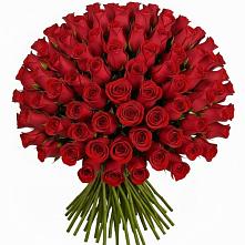 Букет Красные розы Чери Лав в Баксаненке