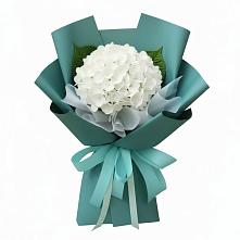 Букет цветов из:  Гортензия #REPLACE_PRED# Баксаненке